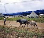 VN_0060