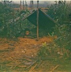 Brandsfield046A