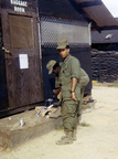 TERRY71_k