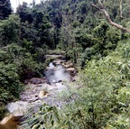 TERRY71_r