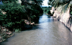 PHAN_RANG_stream