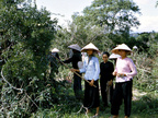 WomanWorkers1