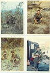 Scan181