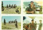 Scan184