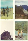 Scan200